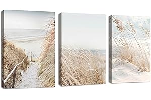FAJERMINART 3Pcs Paysage de neige de la plage Tableau Décoration Murale Salon Boho Botanique Impression sur Toile Image sur Toile Abstraite Peintures sur Toile Décoration Murale pour Chambre Maison 40x60cmx3