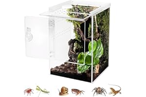 Biigdan Vordere Öffnung Schnecken Terrarium,360° Rechteck Vivarium15x15x23CM mit Querlüftung,Wasserdicht Acryl Terrarium für Springspinne Gottesanbeterin, Geckos,Laubfrösche, Käfer