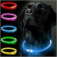 Collier Lumineux LED Pour Chien Rechargeable USB - 3 Modes, étanche, Réglable - Visibilité Nocturne Pour Promenades En Sécurité - 11
