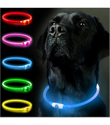 LED HALSBAND VOOR HONDEN - OPLAADBAAR MET USB KABEL - BLAUW - 3 MATEN - Glow Specialist