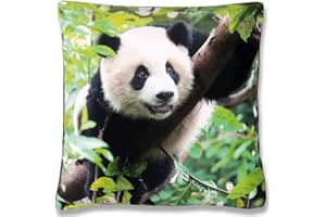 Bestlivings Poszewka na poduszkę nadruk fotograficzny z motywem 40 x 40 cm, puszysta miękka poszewka na poduszkę dostępna w wielu wzorach (wzór: panda)