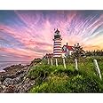 Springbok Puzzles West Quoddy Head Lighthouse Jigsaw Puzzle (1000 Piece)