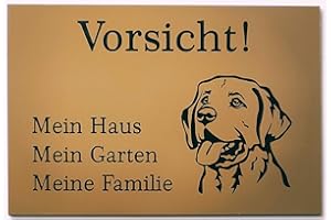 BigTrend24 Warnschild Vorsicht Labrador Schild Hundeschild Haus Garten Familie Gold (30x20cm Selbstklebend)
