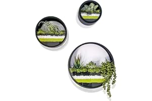 ECOSIDES Macetas Colgantes Pared Modernas,Maceta para Flores Pared Colgante Florero DIY Bonsáis con Soporte Extraíble para Sala de Estar Ronda Metal Vaso Jarrones Macetero Plantador con Orificio Drenaje