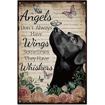 Targa In Metallo Decorativa GLOBLELAND Con Strega E Gatto Nero - 30x20 Cm - Poster Vintage Con Frase "I Am The Storm" Per Garage, Cucina E Bar