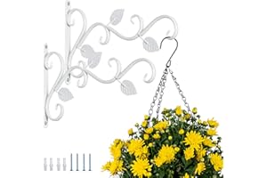 Nuptio Staffa per Piante Appendere A Parete, 2 Pezzi Ganci Appendere Ferro Bianco Staffe Parete 29.5cm Vaso Fiori Mangiatoia per Uccelli Appendiabiti Gancio Giardino Esterno con Viti Balcone Lanterna