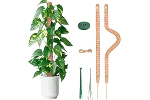 YAUNGEL Tuteur Plante, 2 Pièces 80CM Support Plante Grimpante Tuteur Coco pour Plante Monstera Maison Jardin avec Twist 20 Meter pour Soutenir Les Plantes