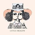 Little Dragon