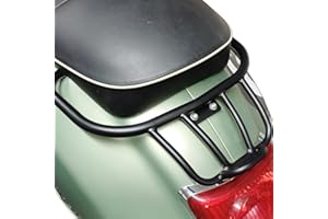 Lorababer Motorrad Hinten Sportgepäckträger Regal Handlauf Armlehne Kompatibel mit GTS300 GTS250 GTV300 GTS 300 250 GTV 300 2008-2022 Gepäckträgerhalterung (Schwarz)
