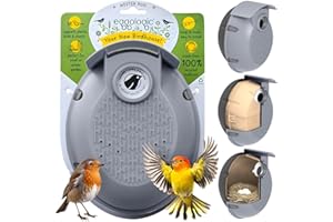 eggologic Nester Pod - Perch Free Vertical Bird Box for Wild Birds – Sparrow and Blue Tit Bird House, Bird Houses for Garden Made from 100% Recycled Materials for Strength and Durability – Stone Gray