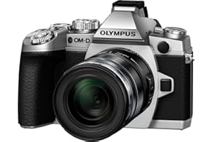 Olympus E-M1 OM-D Systemkamera (16 Megapixel, 7,6 cm (3 Zoll) TFT LCD-Display, Full HD, HDR, 5-Achsen Bildstabilisator) inkl. M.Zuiko Digital ED 12-50mm Objektiv Kit silber