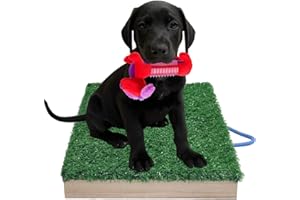 SUNUCO Dog Training Place Board, Artificial Turf Board - Dog Training Platform, Helps with Puppy and Small Breed Dog Training, Obedience Practice, Attention and Command Execution.