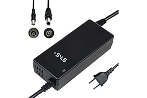 YANGZIDIANYUAN Cargador rápido de 54,6V 2A para batería de Litio de 48V, con Pantalla LED y múltiples Funciones de protección y reparación, certificación CE, Equipado con Conectores RCA 8 mm, DC 5,5 * 2,1 mm