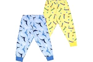 FLYISH DIRECT Anti-bedwetting Pants 2 Packs, Potty Training Pants Shorts, Waterproof Diaper Skirt, Cotton Toddler Nappy Skirts, Reusable Training Pants 2-3 Years, Train & Pterosaur, S