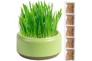 THAELY Fioriera per erba gatta, fioriera per erba gatta, vassoio per erba gatta idroponica, coltivazione fuori suolo dells'erba gatta, vassoi per germogli di semi di erba gatta, erba gatta facile da piantare