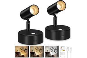 Lightess Spot Lights Indoor 6000mAh Wireless Uplights Indoor Plant Rechargeable Lights with Remote and 3 Color Temperature, Magnetic Spotlights for Painting, Accent Lighting, 2 Pack Black