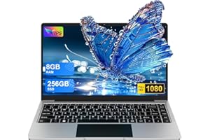 HUQPPQ Laptop 14 Inch Laptop Computer 8GB RAM 256GB SSD Storage(TF Card 512GB-1TB) N4020 Processor(Up to 2.8GHz) PC Notebook with USB WiFi BT4.2 Wireless Mouse & Keyboard Stickers-Silver