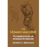 The Human Machine