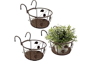 NILICAN Paniers de jardinière à Rail Suspendu Paniers de Fleurs Suspendus en Fer forgé pour balcons à la Maison, Produits en Fer pour Plantes cultivées à la Maison (Champagne)