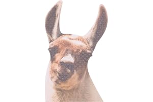 THUMBS UP Rama With Llama - Autocollant de Fenêtre "Lama"