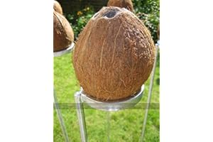 Masters Traditional Games Mini Coconut Shy set. 3 coconut shy posts and 10 wooden balls