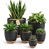 Bamworld Macetas Autorriego de Interior, Tiesto de Pl&aacute;stico con Base Integrada, Pack de 6 (20/18/17/15/14/13 cm), para Cocina