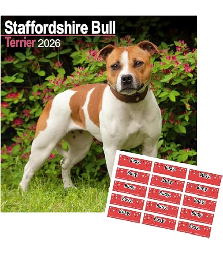 Silhouette Di Cane Staffordshire Bull Terrier Razze Di Cane Logo Vettoriale Monogramma Silhouette Logo Design 188885 4888