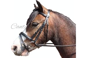 Canter Leather Flash Bridle with Rubber Reins. Shetland, Pony, Cob, Full NEW (Cob, BLACK)