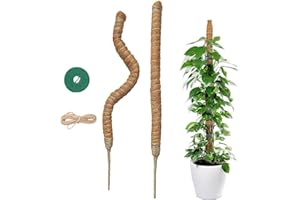 HISDRICUS 2 x 60 cm Monstera Tutor - Elastyczny Kokosowy Pnączek - Nauczyciel Roślin Jutowych i Zapięcie na rzep - Nadaje się do wzrostu monstery i innych pnączów