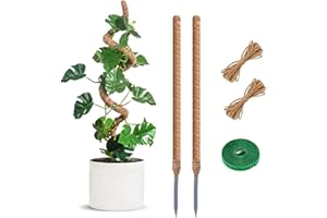 RYHX 2 Tutores para Plantas,115CM Poste de Musgo Plegable para Plantas,Tutores Trepadores para Plantas de Interior con Accesorios