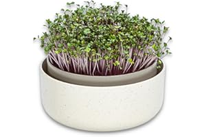 PLASTIA Urbalive Germoir pour Graines à Germer et Micro-pousses - Microgreens Coupelle de Germination - Design Bac de Germination en Plastique, 16 cm