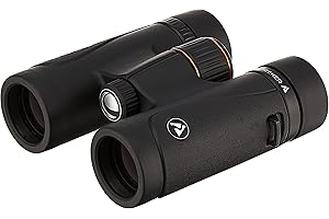 Celestron 71400 TrailSeeker 8x32 BaK-4 Prism Binoculars, Black