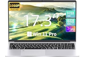 Fsjun 17.3 Zoll Laptop Win 11 Pro, Celeron N5095 bis 2,9 GHz, 16GB RAM, 960GB SSD, FHD IPS, Fingerabdruck, Beleuchtete Tastatur, Mini HDMI, 3× USB 3.0, Silber