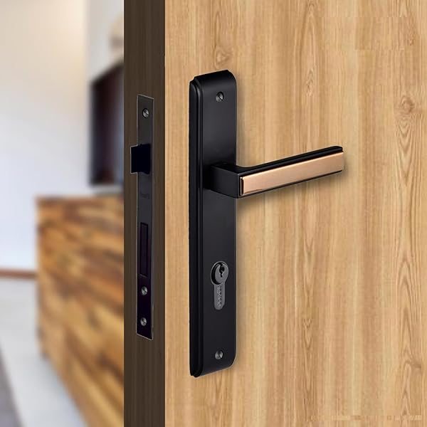 odam02さま Veera Oz-one Morphy NXT Plus | FDL-02 STD Black/SC : Amazon.in