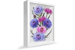 YJSDDNTY Suvenirs - Cornice portafoto profonda da riempire, 23 x 32 cm, 3D, 3 cm, ideale come regalo per foto, collage e bouquet da sposa, colore: bianco