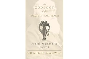 Fossil Mammalia - Part I - The Zoology of the Voyage of H.M.S Beagle: Under the Command of Captain Fitzroy - During the Years 1832 to 1836