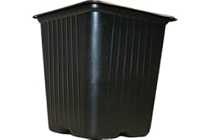 Vilmorin 3990610 Pack de 15 Godets Carrés Plastique 9 cm