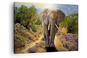 Bilder auf Leinwand Tiere Afrika Elefanten Spaziergang Leinwandbild 70x50cm Wandbilder Dekoration Wohnzimmer Schlafzimmer Deko Klein Wanddeko Bild Wand Kunstdruck Art Wall Decor Canvas AA70x50-2708