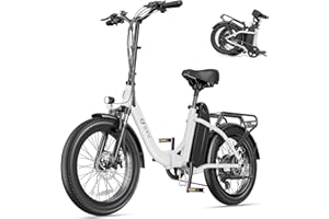 DYU C9 Vélo Électrique Pliable 20" Pneus Fat, Moteur 250W, Batterie Amovible 48V 15.6Ah, Double Suspension, 7 Vitesses, Écran LED, Velo Electrique Urbain pour Adultes, Autonomie Jusqu’à 80-150KM