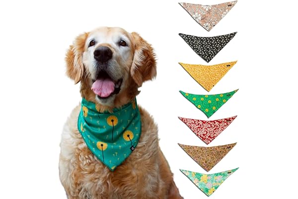 Ruse Playtime Allover Printed Knotty Dog Bandana/Scarf for Small and Big Dogs. (Dandelion/Large)