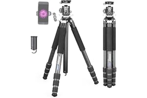 Treppiede in fibra di carbonio-INNOREL GT284C Treppiede compatto professionale per fotocamera DSLR con testa a sfera centrale a bassa gravità e colonna centrale a forma speciale Carico massimo 20 kg