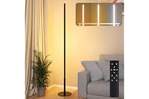 Hzitcigm Lampadaire sur Pied Salon LED, Lampe sur Pied Intensité Variable en Continu Colores 2700K-6500K Lámpara de Pie avec Control Remoto Moderne Lampe Lecture Esquina Lampara pour Chambre, Noir