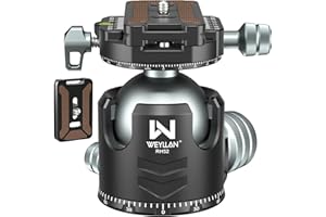 WEYLLAN Rotule Tête de Trépied Caméra, Double Panoramique 360 Degrés Low Profile CNC Métal Heavy Duty Tripod Têtes Trépieds avec 2 Plaques De Fixation Rapide Compatible avec Arca-Swiss, Charge 30kg