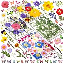 179 Fiori Secchi Pressati Naturali Per Resina Con Pinzette - Kit Fai Da Te Per Candele, Gioielli, Scrapbooking - 6