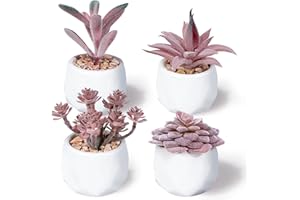 Hywean Homd 4 Pièces Petites Plantes Artificielles, Plantes Succulentes Artificielles en Pot, Plantes Artificielles Intérieur, Fausses Plantes Vertes pour Maison Salle De Bain Bureaux Table Déco