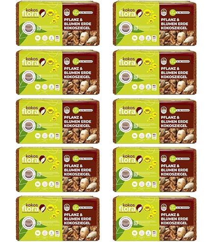 geeignete zimmerpflanzen für katzen Katzenfreundliche Zimmerpflanzen (6er Set) kaufen