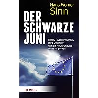 Der Schwarze Juni: Brexit, Flüchtlingswelle, Euro-Desaster - Wie die Neugründung Europas gelingt