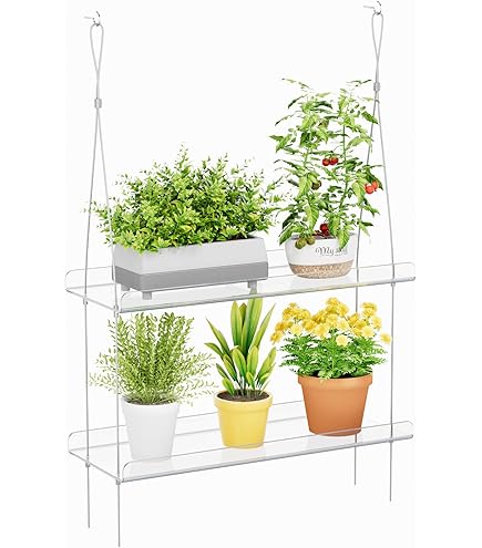 2 stuks zuignap raamplank voor planten 40,5 cm, helder acryl kamerplantenplank, raamrand tuindorpelligverlenger voor microgroenten, zaadstarterpotten, kruidenplantenbakken