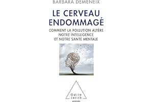 Le Cerveau endommagé: Comment la pollution altère notre intelligence et notre santé