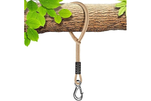 BeneLabel Corde de Hamac, 100cm Sangle de Balançoire avec Crochet (400lbs) Arbre Suspension Materiel en Polyester Fauteuil Suspendu Fixation Kit, Jusqu'à 2500lbs, 10mm de Diamètre, Naturel